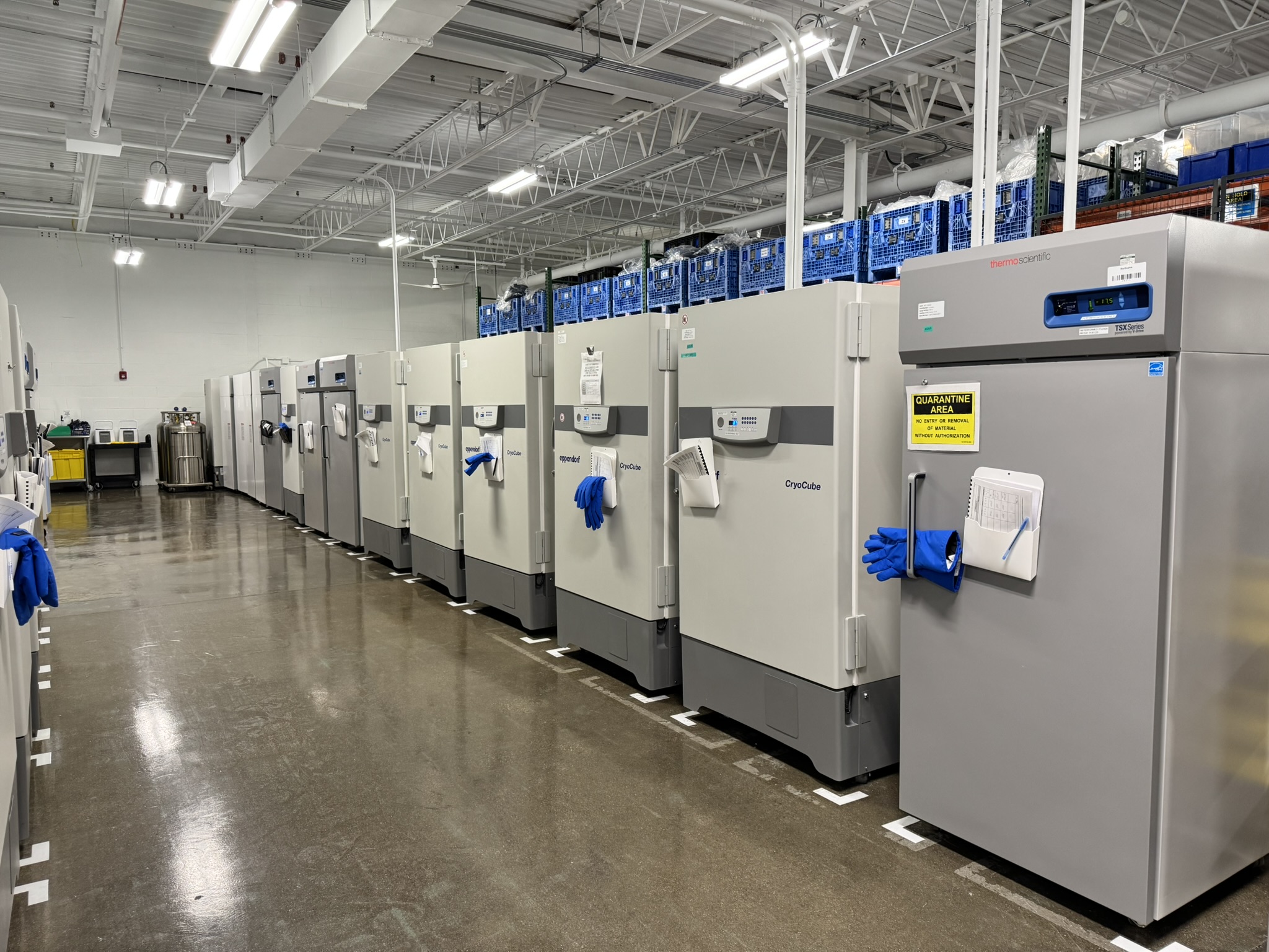 GMP Cold Storage