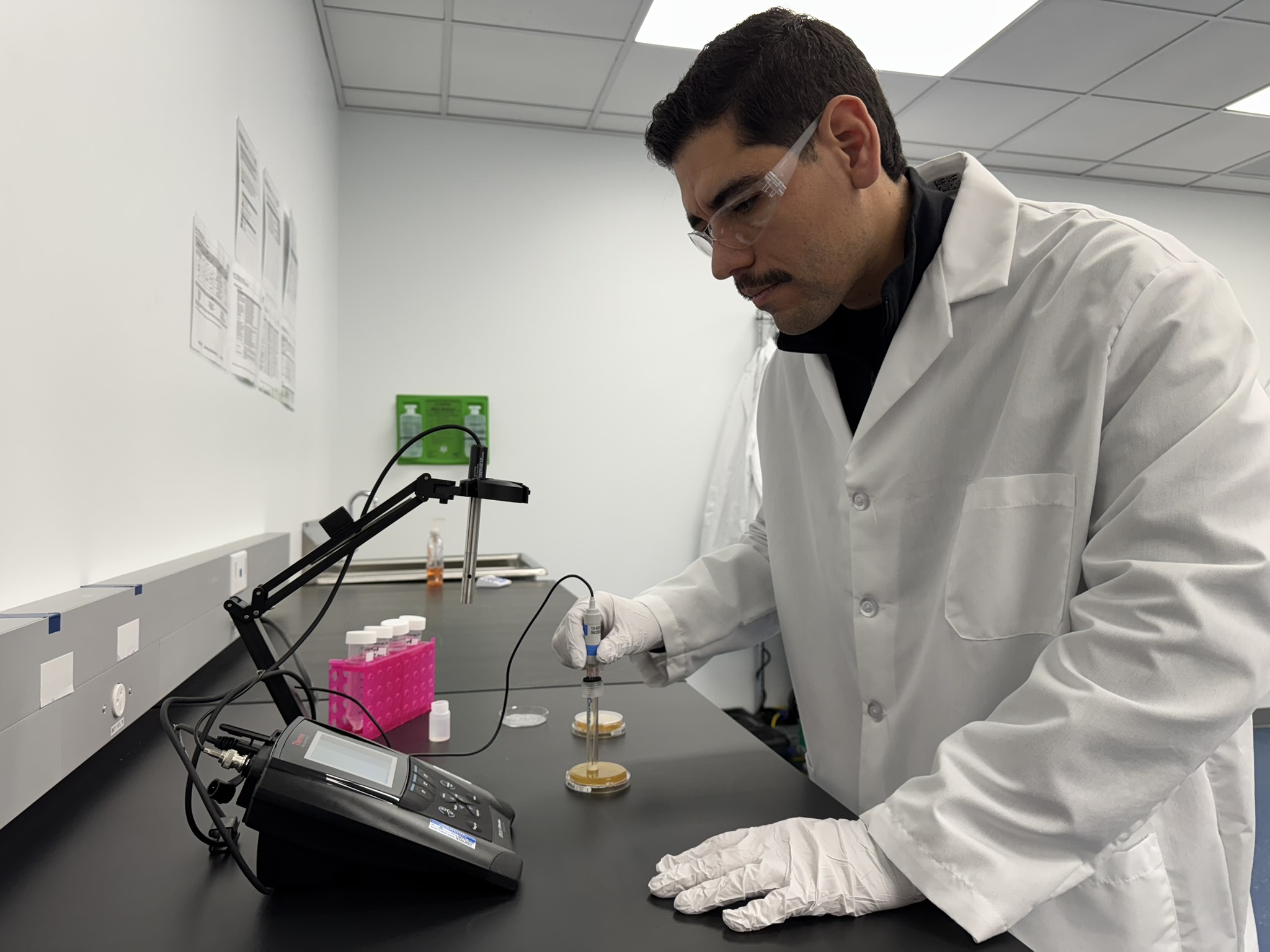 GMP Testing